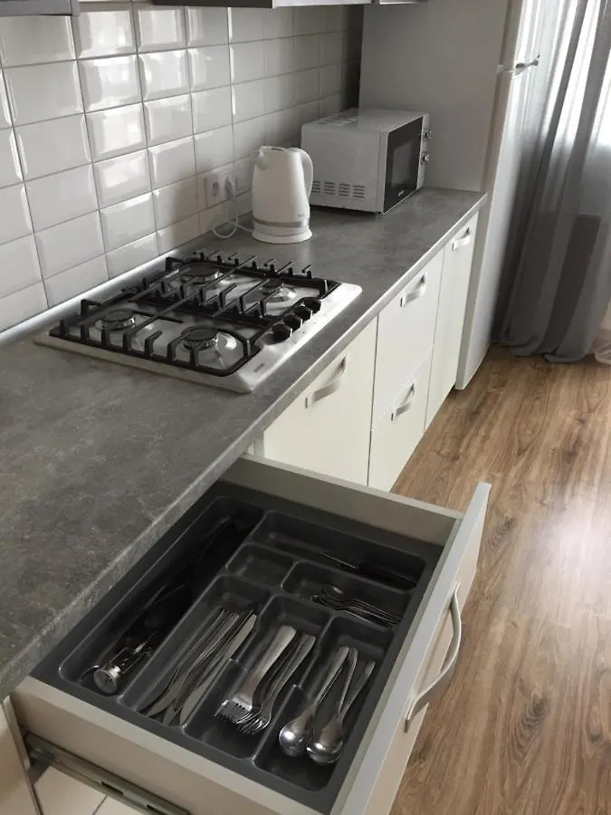 Scandinavian apartment Leopoli