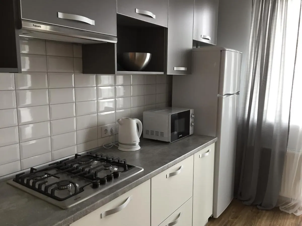 Scandinavian apartment Leopoli